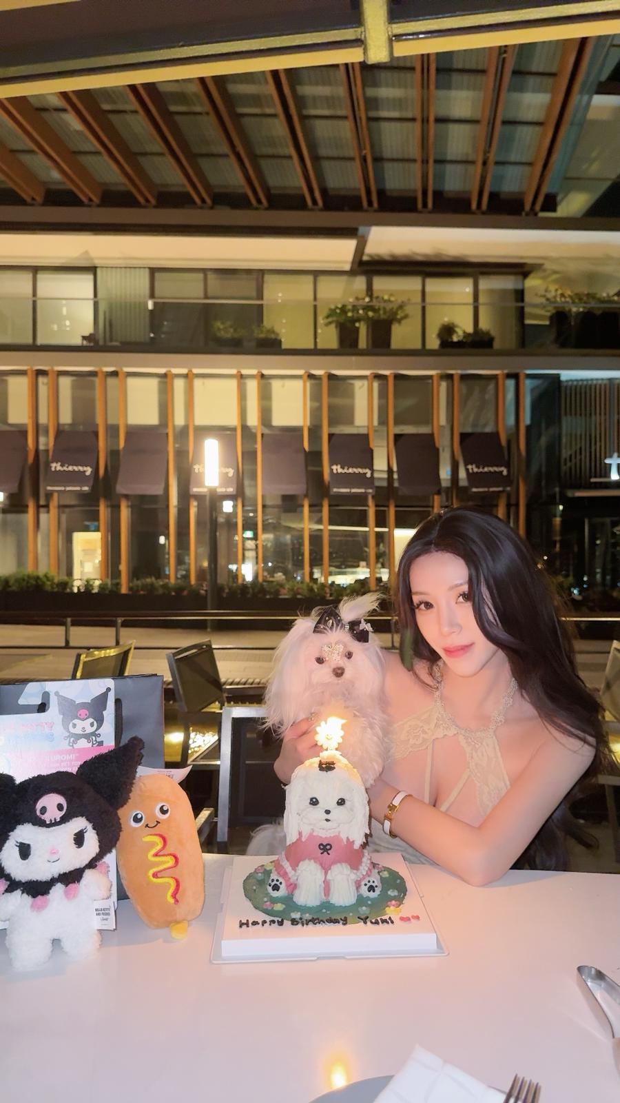 Adorable Maltese Puppy "Yuki" in Vancouver🥳 - Velydog