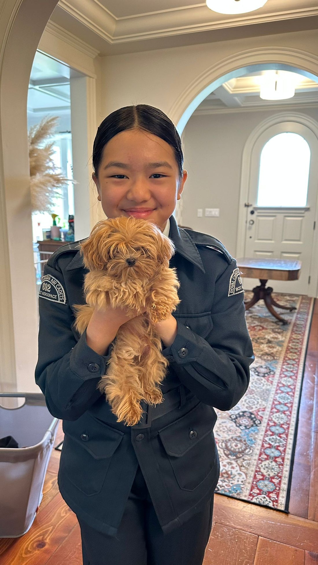Maltipoo Puppy "Camo" Safely Arrived in Vancouver🇨🇦 - Velydog