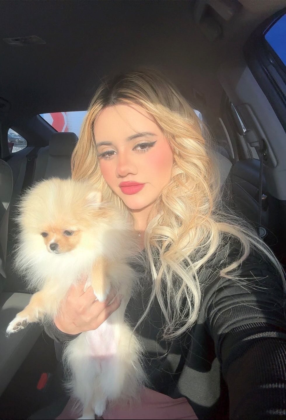 Pomeranian Puppy "Macaron" Safely Arrived in New York🗽 - Velydog