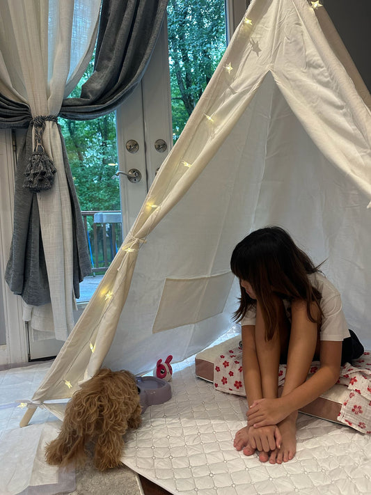 Teacup Maltipoo Puppy "Bedding" in Washington D.C. (IAD) - Velydog