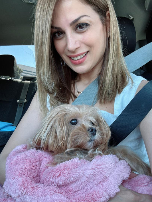 Teacup Maltipoo Puppy "Bella" in LA🥰 - Velydog