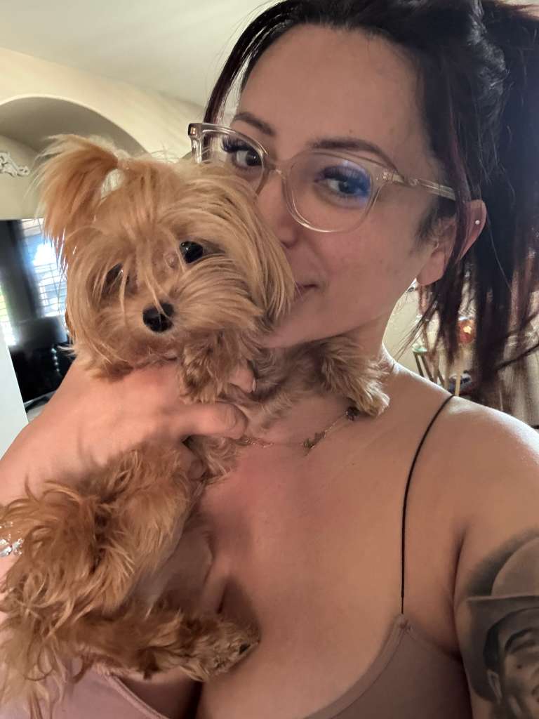 Teacup Maltipoo Puppy "Lola" in LA💕 - Velydog